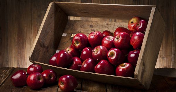 Foto: Caja de manzanas orgánicas. (iStock)