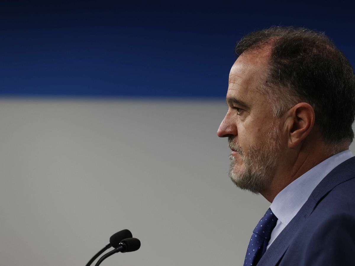 Foto: El presidente del PP del País Vasco, Carlos Iturgaiz. (EFE)