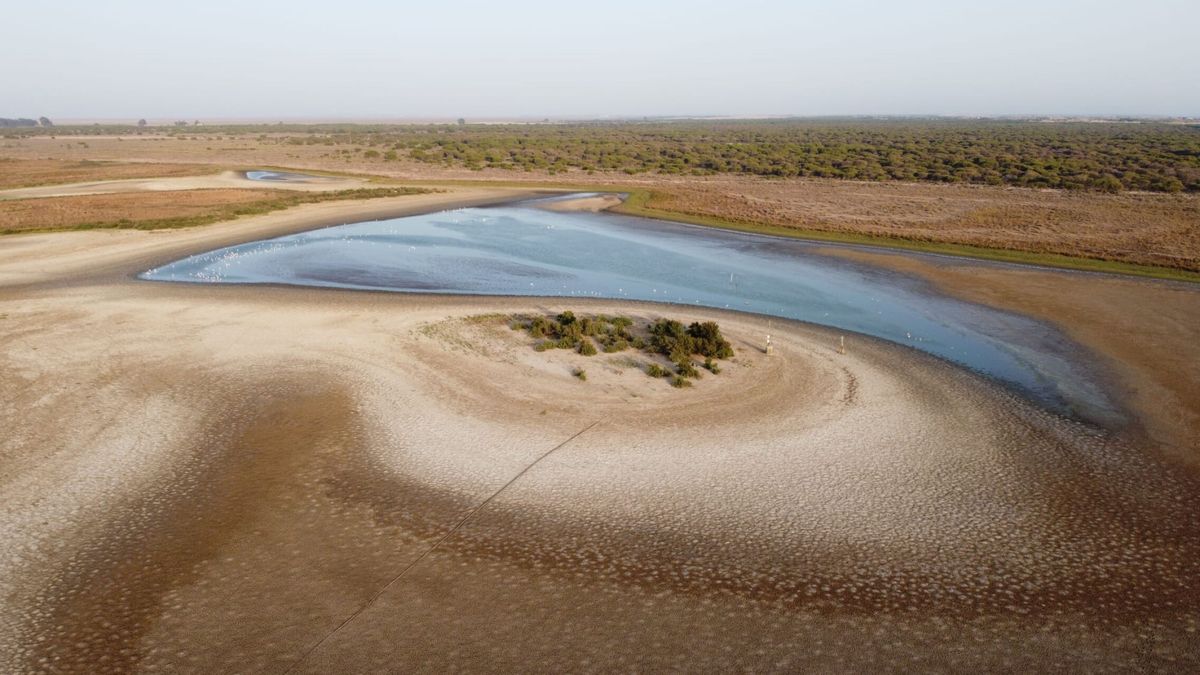 Sólo una laguna de Doñana mantiene algo de agua y desaparecerá en un mes