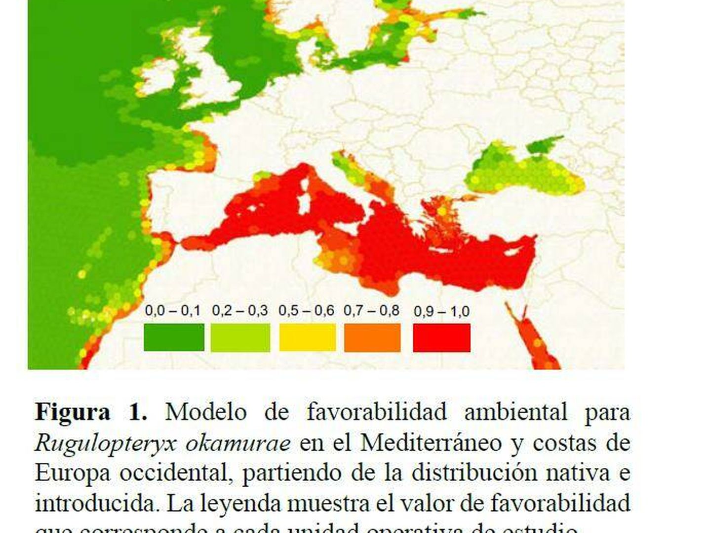 Los estudios de riesgo establecen que la especie puede extenderse por todo el Mediterráneo y parte de la Costa Atlántica. (Investigación de Román Muñoz)
