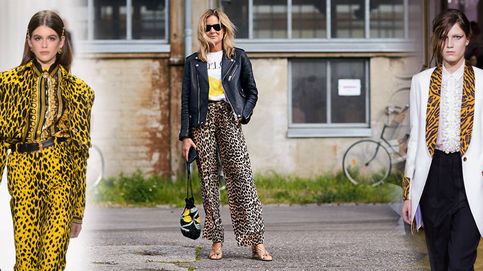 Leopardo: todas las formas de llevar el estampado animal con más glamour