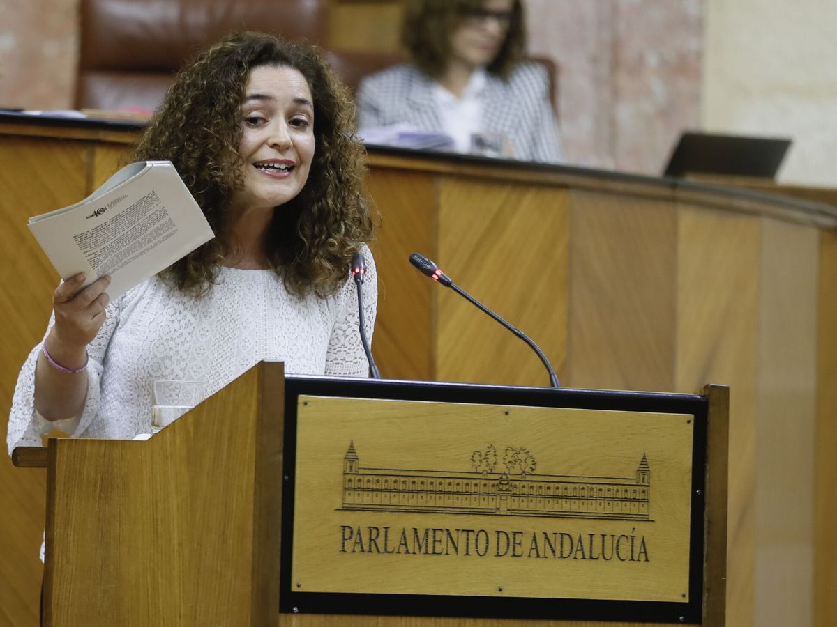 Foto: La portavoz de Unidas Podemos por Andalucía, Inmaculada Nieto. (EFE/ José Manuel Vidal)