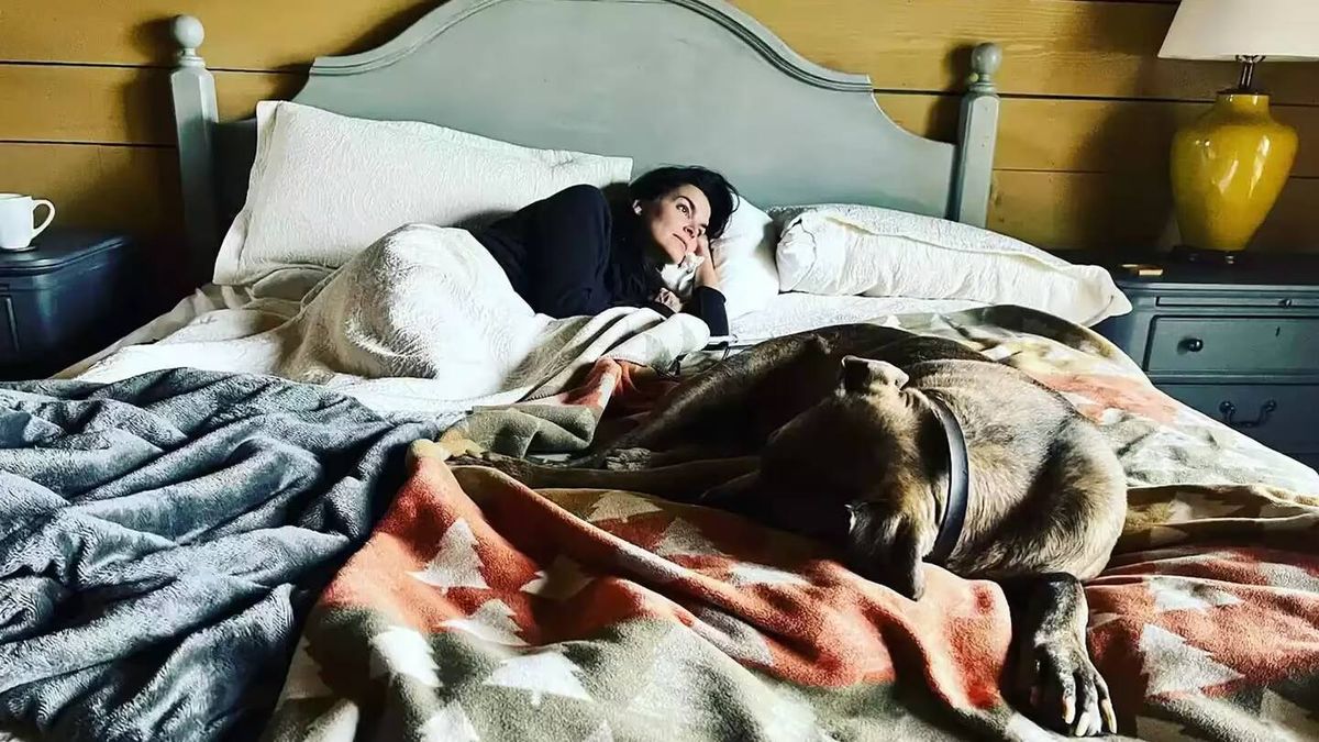 Una actriz de 'Ley y orden' revela la dramática muerte de su perro a manos de un repartidor: "La policía le dejó ir"
