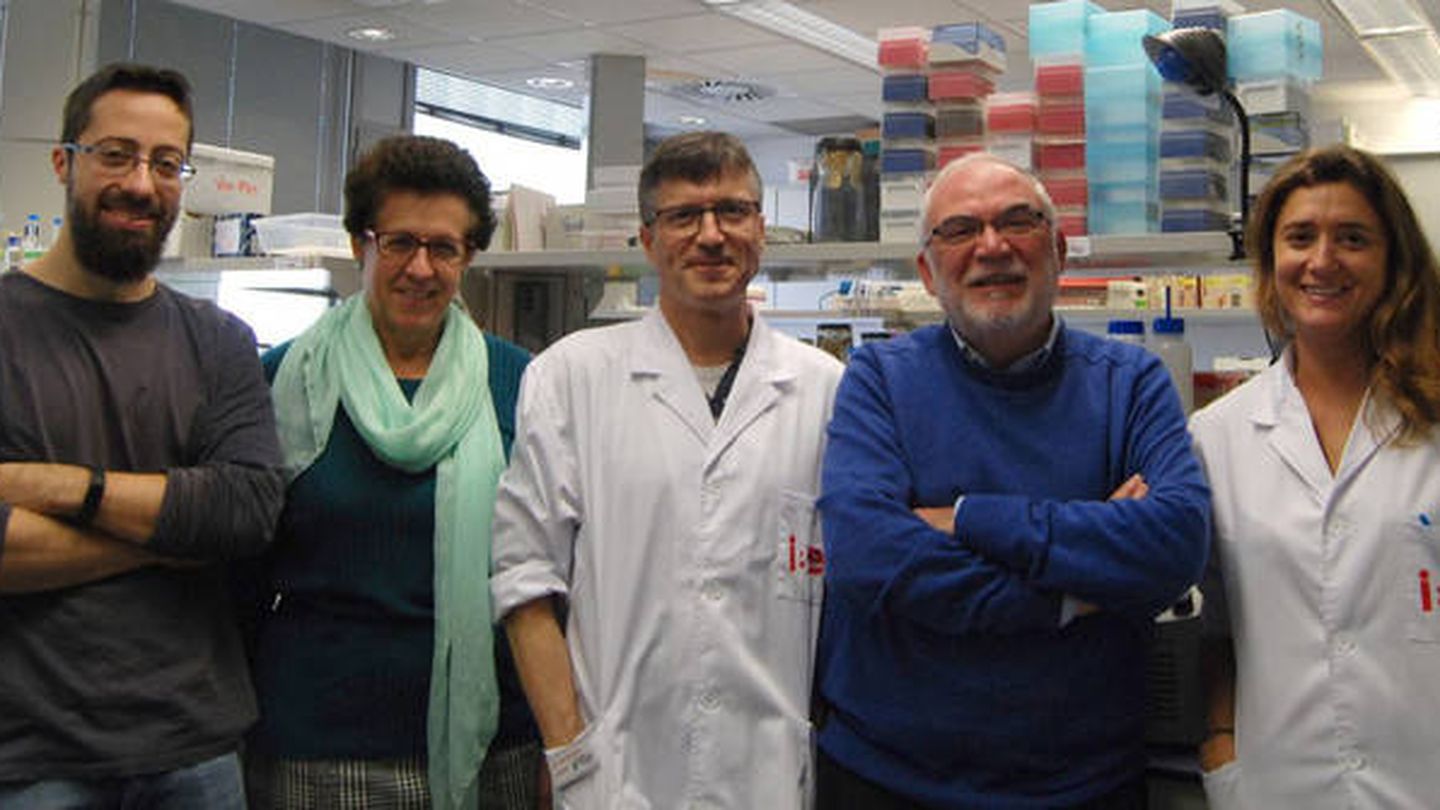El equipo de investigación del IBE (Foto: CSIC-UPF)