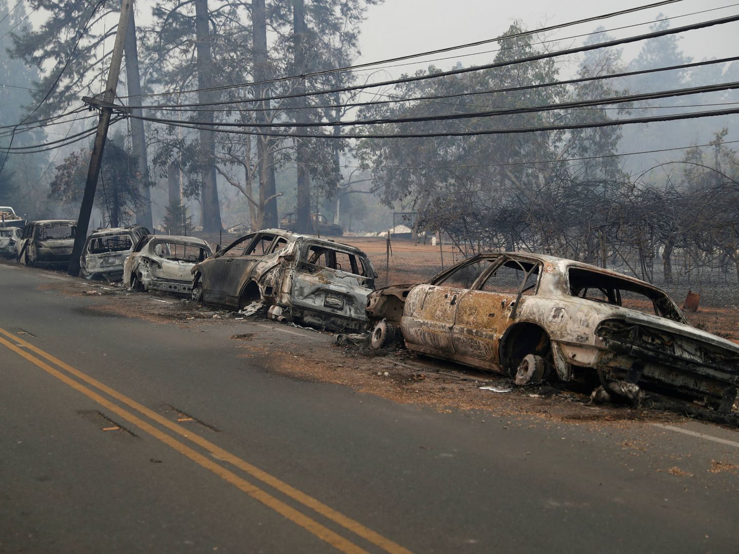 Una fila de vehículos quemados en la carretera de Paradise. (Reuters)