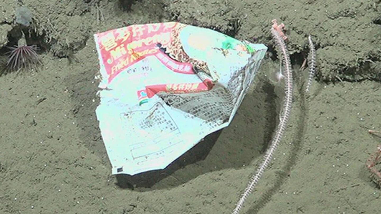 Uno de los 27 desechos encontrados en el Cañón Submarino de Mar del Plata (Schmidt Ocean Institute/ROV SuBastian, CC BY 4.0, expedición FKt250712/Teso et al., PLOS One , 2026)