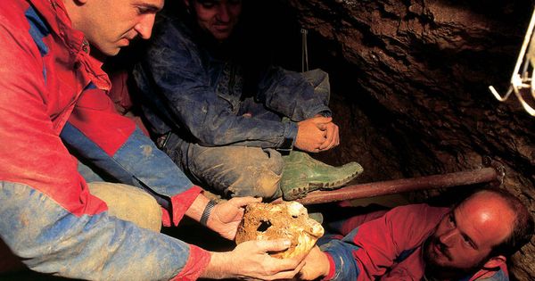 Foto: Juan Luis Arsuaga e Ignacio Martínez, durante el descubrimiento de Atapuerca en 1992