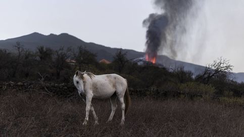 En La Palma no solo duele el volcán: cómo los desastres naturales están golpeando la isla