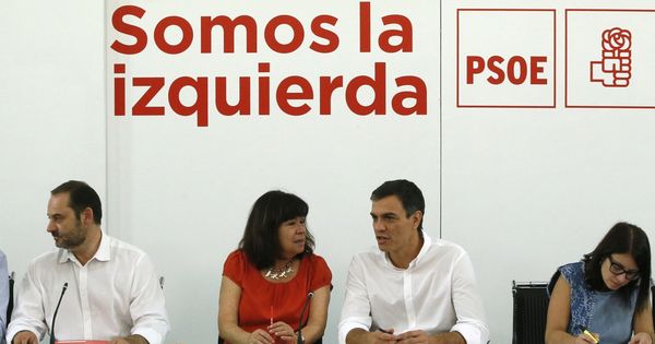 Foto: Pedro Sánchez, esta mañana durante la reunión del plenario de la ejecutiva federal del partido. (EFE)