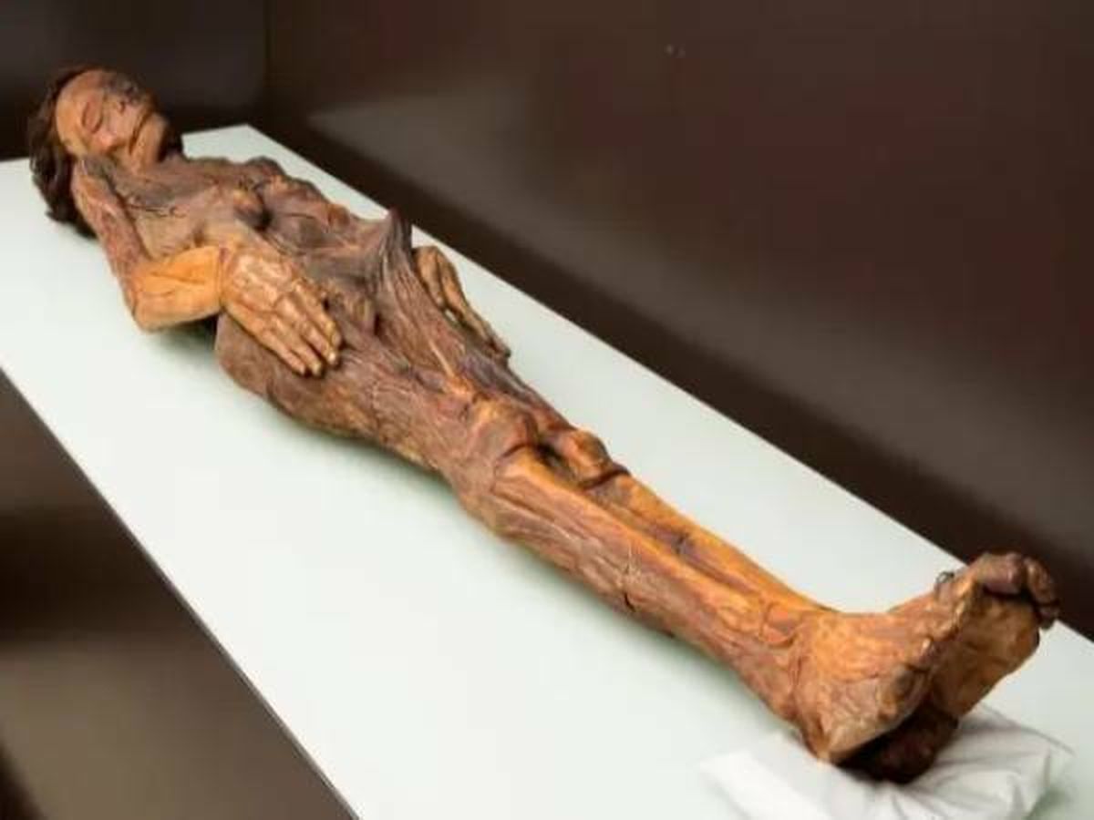 Foto: La momia guanche mejor conservada yace en el Museo Arqueológico, en Madrid. (MAN)