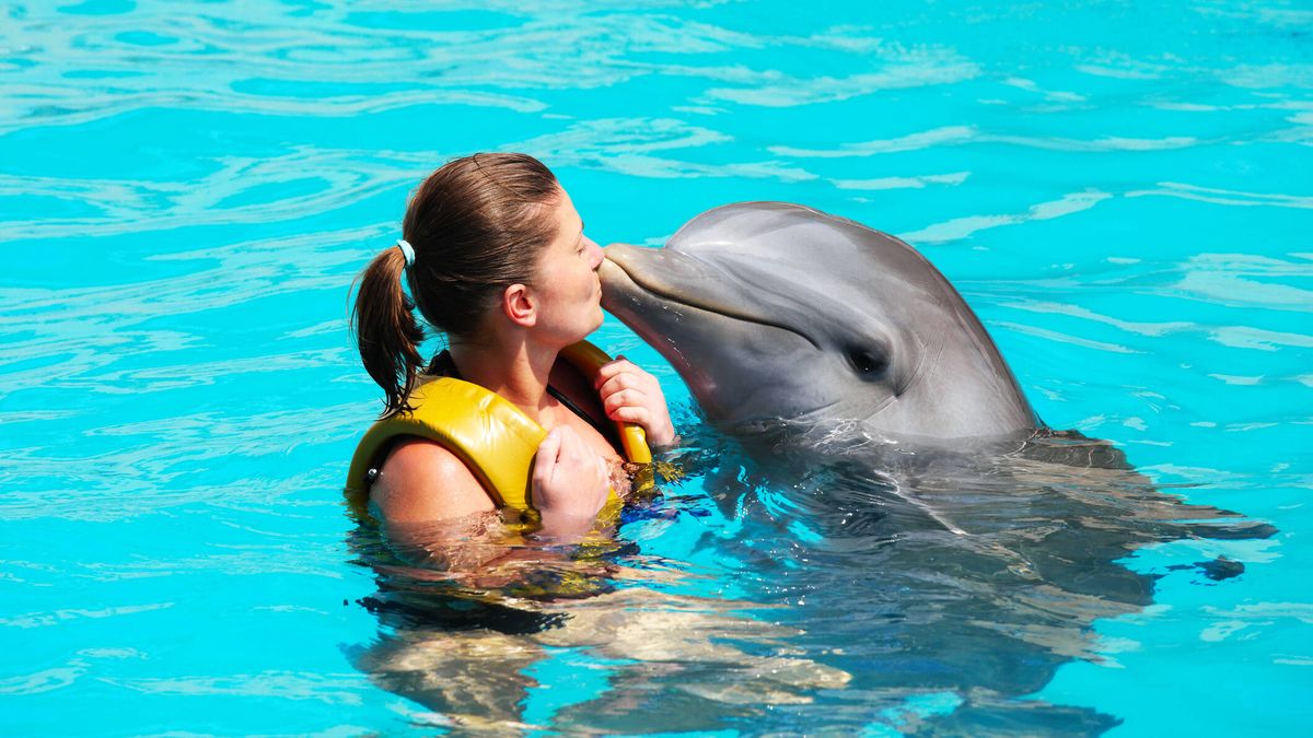  Lo increíble que sucede cuando los humanos y los delfines se unen