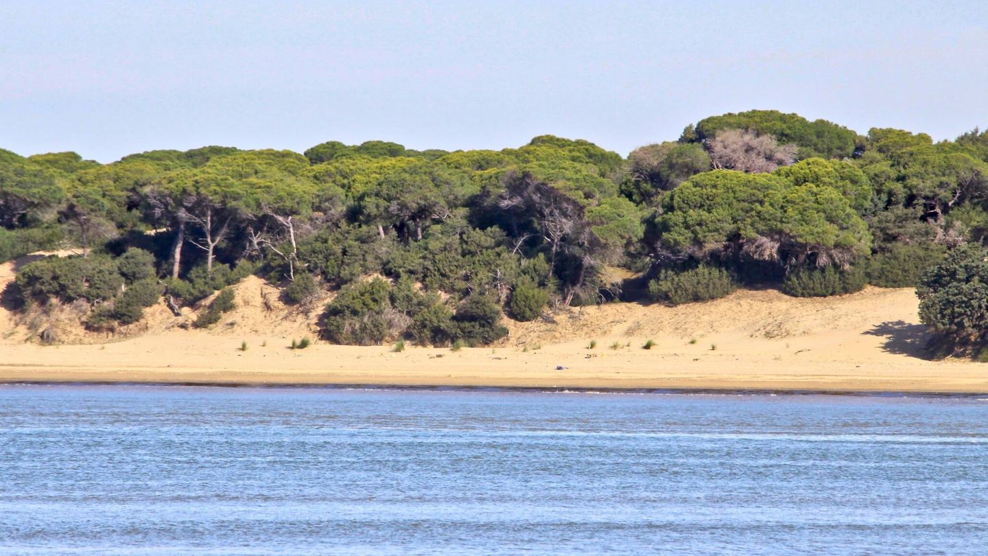 La UE exige la protección del agua en Doñana.