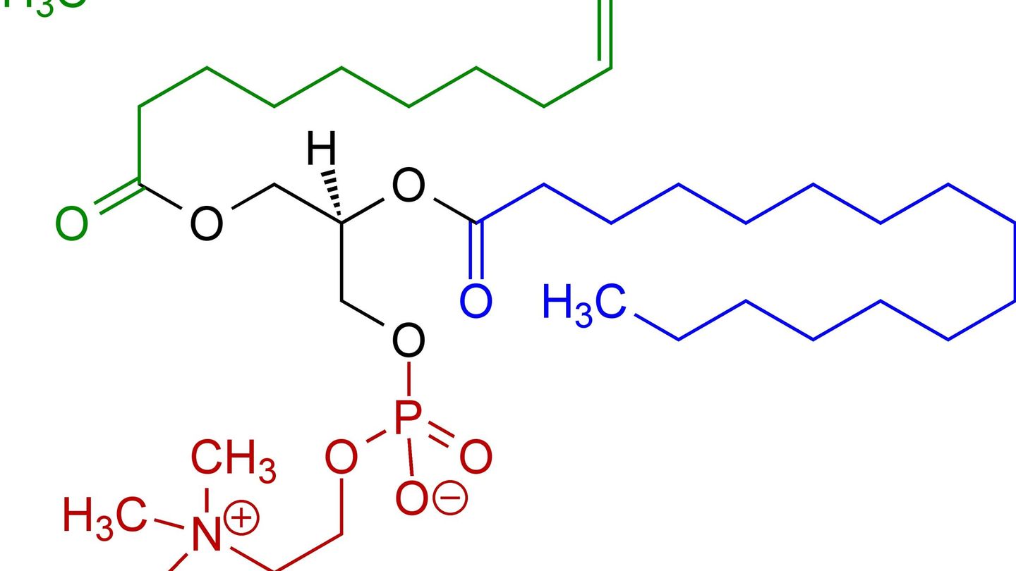 Estructura molecular de la lecitina.