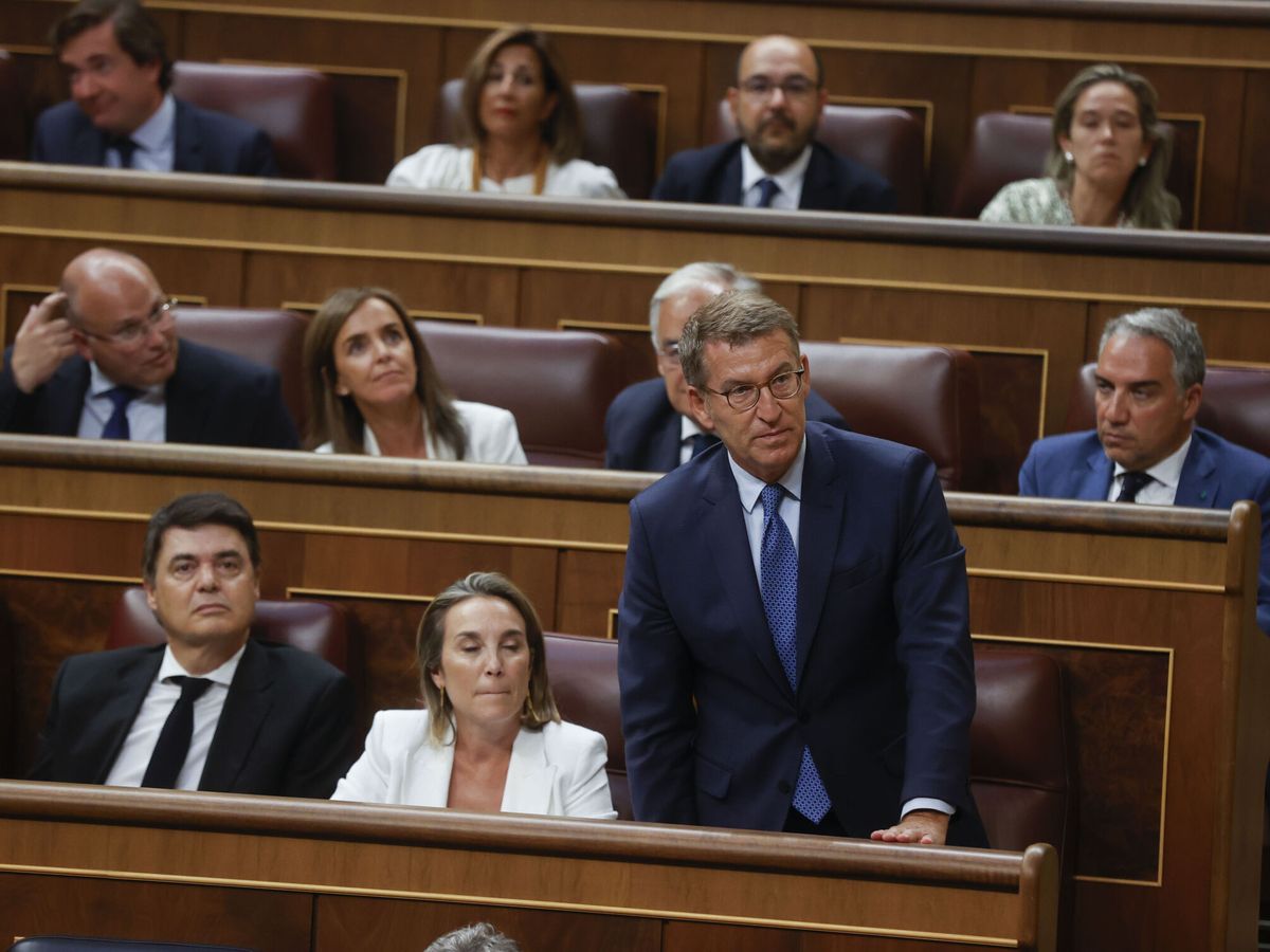 Foto: El líder del PP, Alberto Núñez Feijóo, en el Congreso (EFE/Juan Carlos Hidalgo)