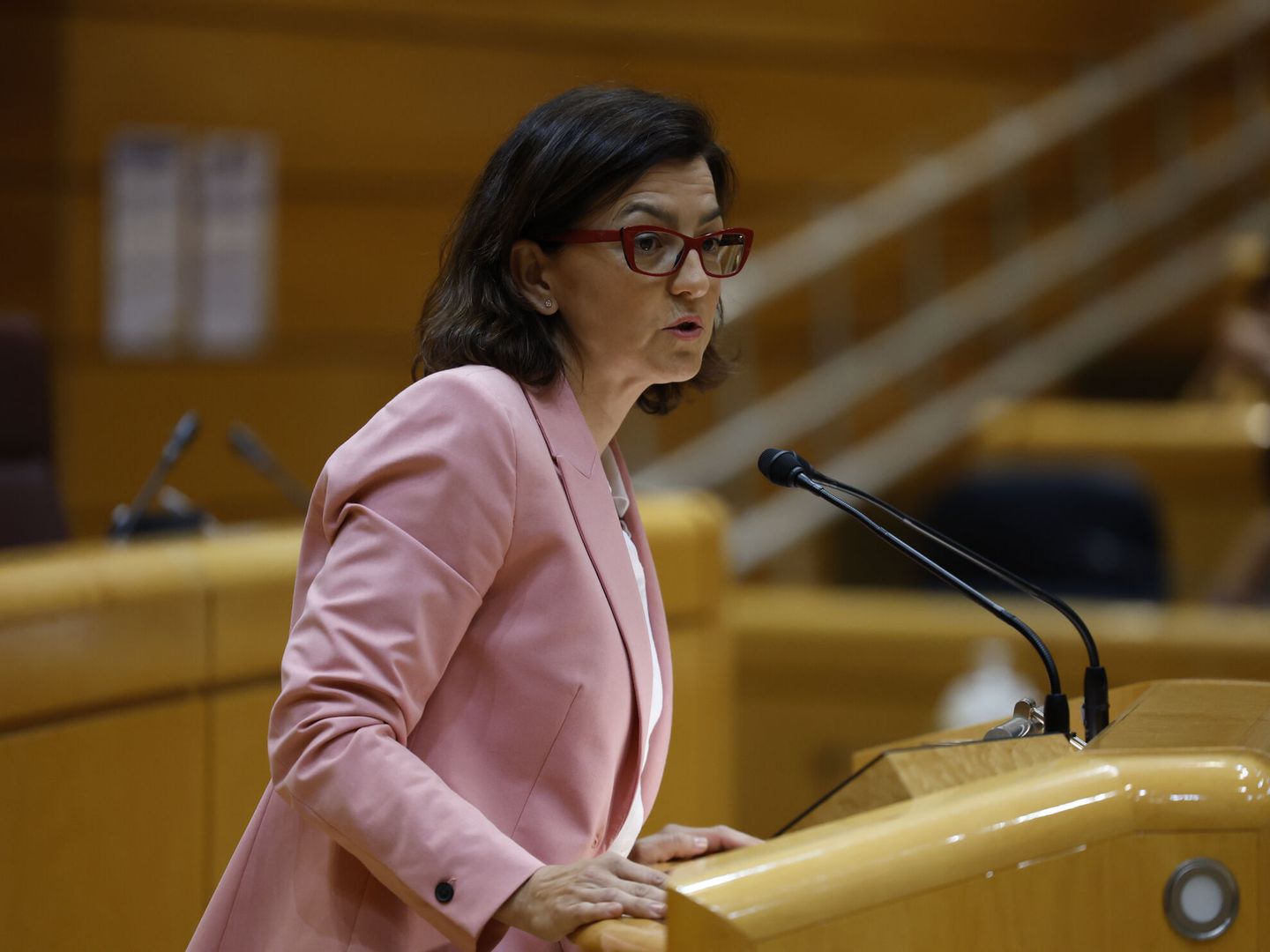 La senadora socialista, Eva María Granados. (EFE/Juanjo Martín)