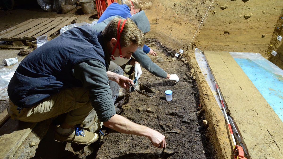 Encontrados los restos humanos más antiguos de Europa