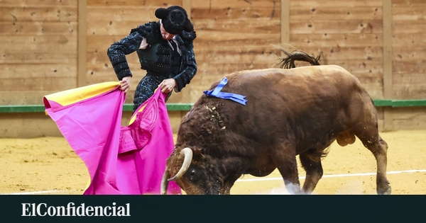 Herido un banderillero con politraumatismos tras ser volteado por un toro en la feria de Arnedo