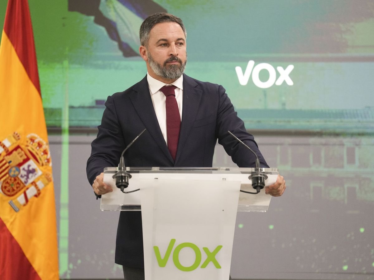 Foto: El líder de Vox, Santiago Abascal. (EFE/Borja Sánchez Trillo)