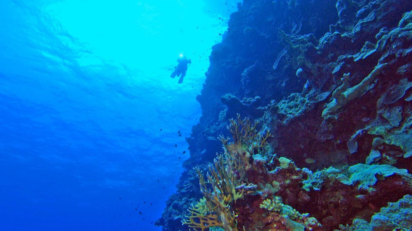 Imagen del documental 'Deep Ocean'. (Discovery)