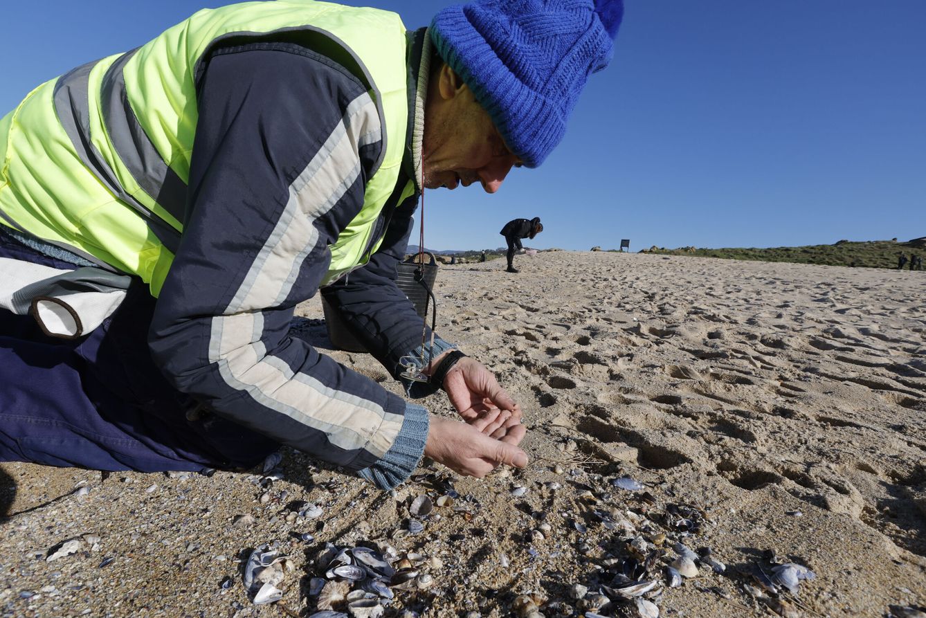 Un voluntario recoge pellets uno a uno con sus manos en la playa. (EFE/Lavandeira jr)