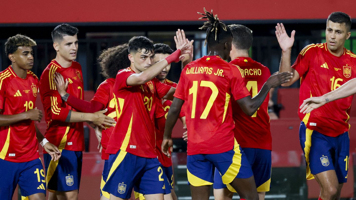 España celebra un gol de Pedri contra Irlanda del Norte (EFE/CATI CLADERA).