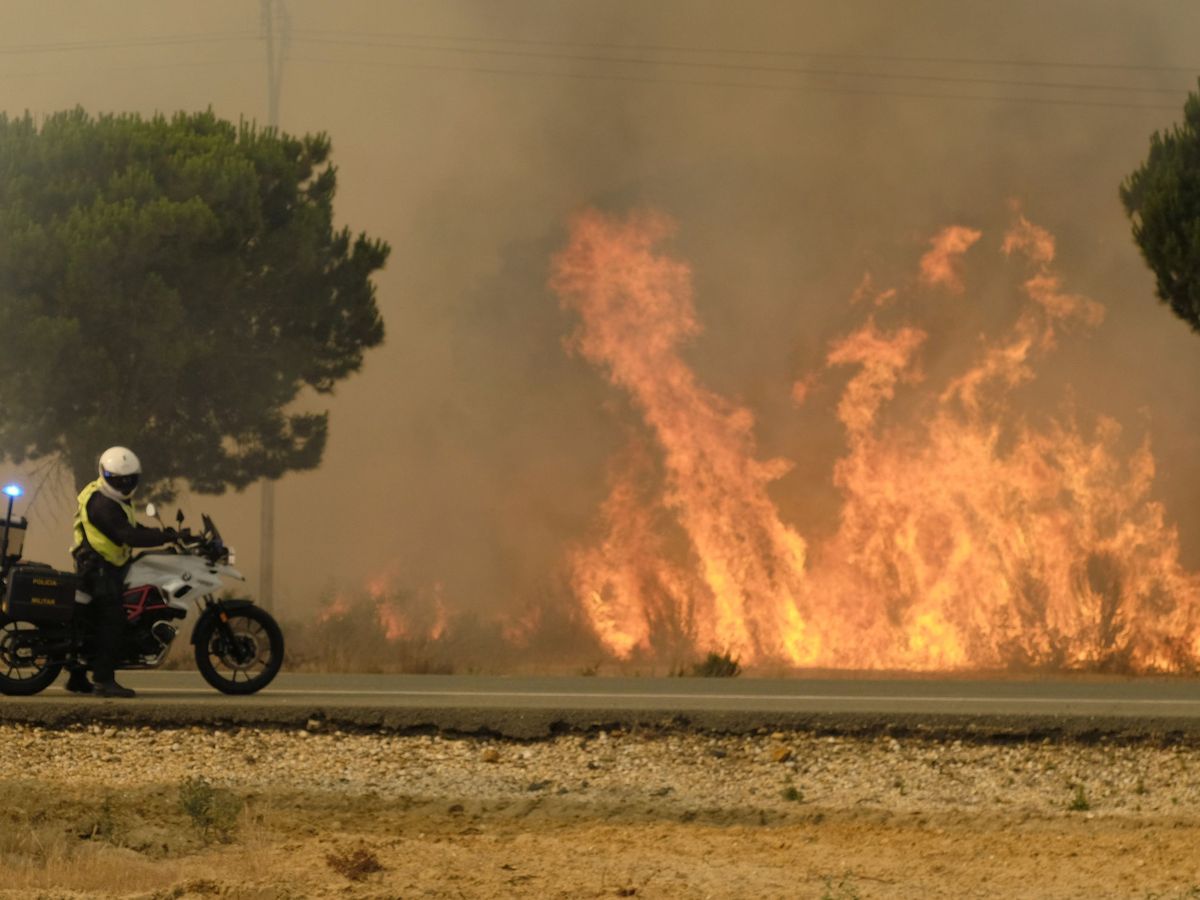 Foto: Las llamas devoraron el entorno de Doñana en el verano de 2017. (EFE/Julián Pérez)