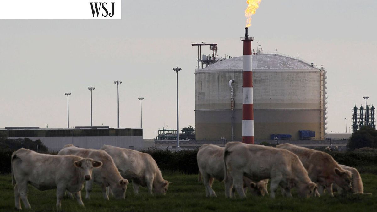 Europa se olvida de la crisis del gas: los precios seguirán a la baja en 2024