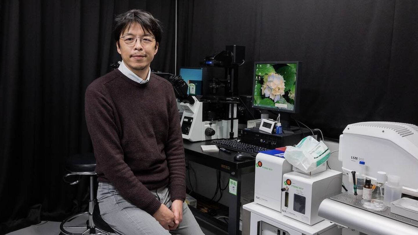 El profesor Katsuhiko Hayashi en su laboratorio. (Universidad de Osaka)