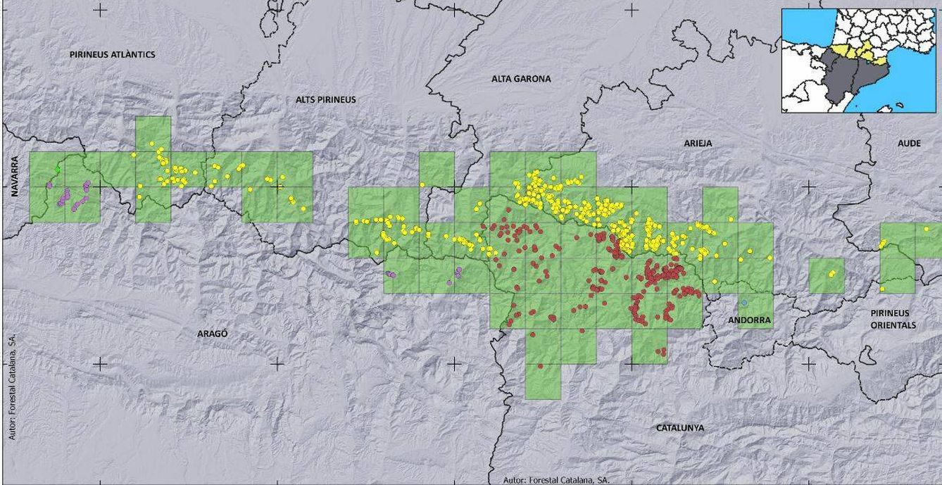 Mapa de distribución del oso pardo en Pirineos. (Marzo 2023/GSOTP)