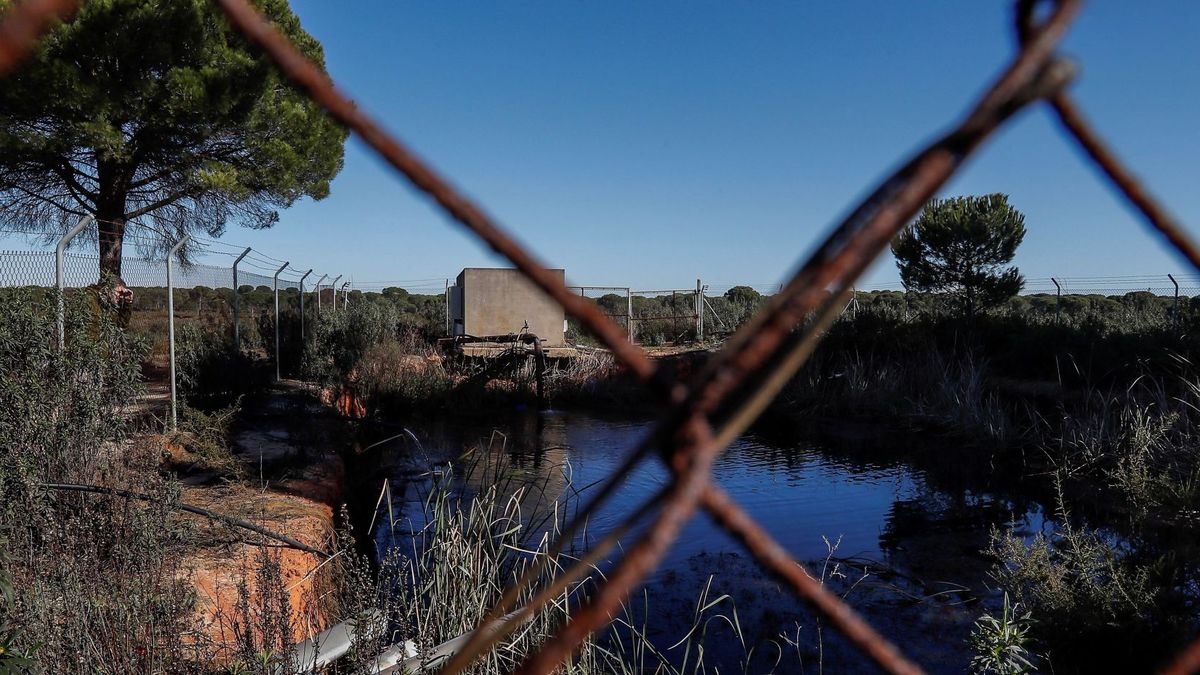 El Gobierno pide al PP "no obstaculizar" el cierre de los pozos ilegales en Doñana