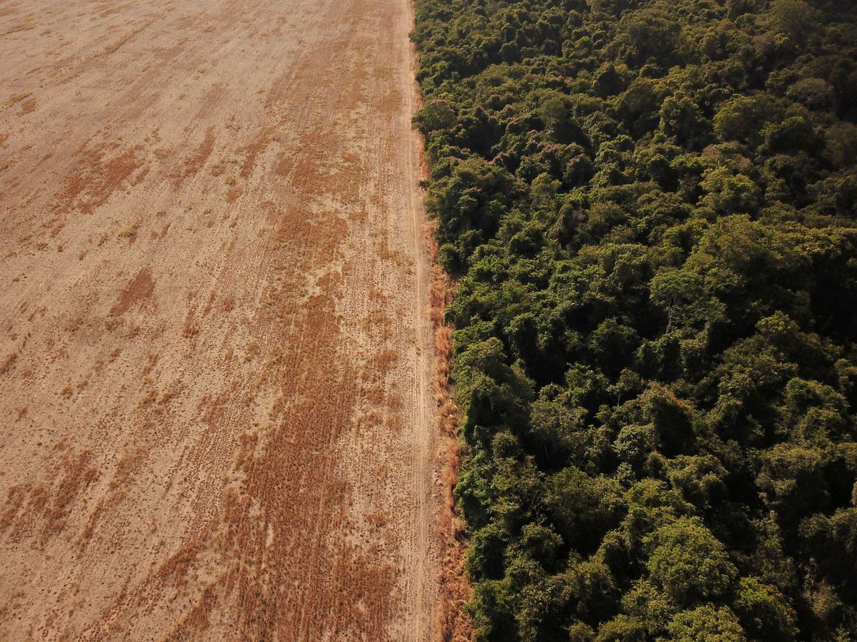 Foto: Vista aérea de la deforestación de la Amazonia. (Reuters/Amanda Perobelli)