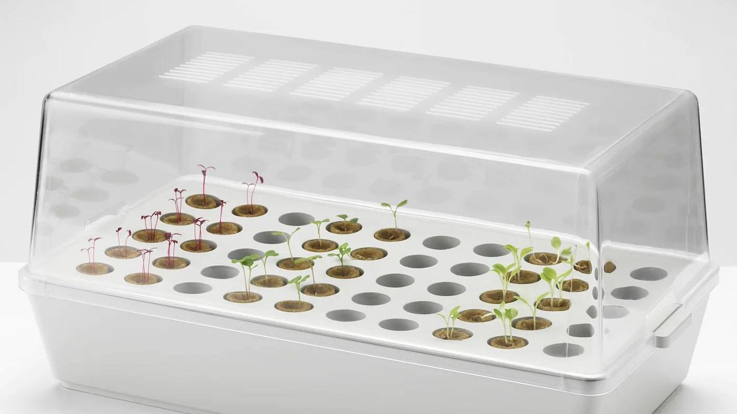 Con este semillero de Ikea podrás ver crecer tus plantas desde cero. (Cortesía)