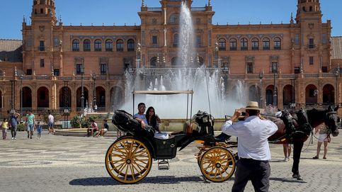 Un ‘Gran Hermano’ para controlar las bullas de turistas en el centro de Sevilla 