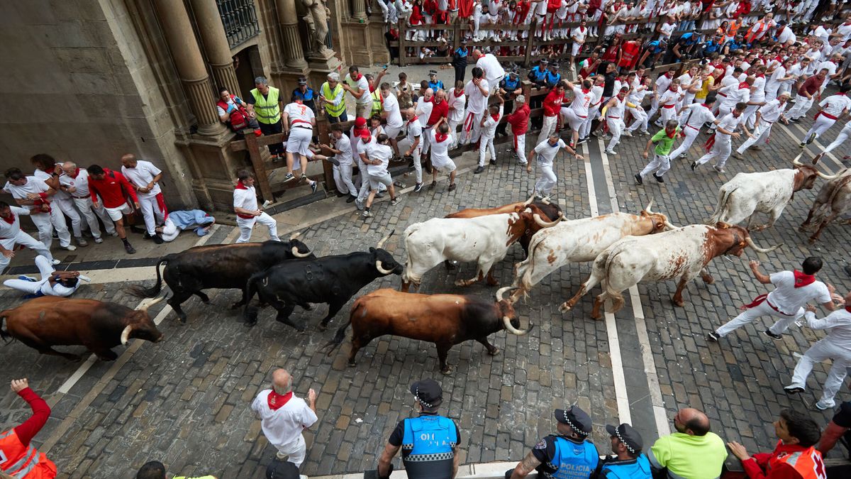 Una carrera rápida y sin heridos de los toros de La Palmosilla abre los encierros de San Fermín