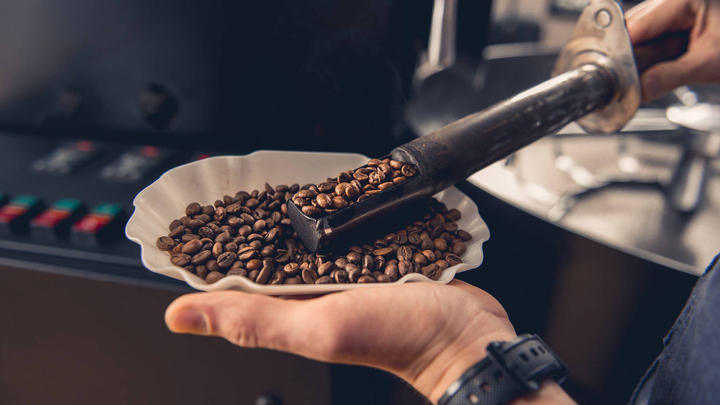 Control de los granos de café tostados. (iStock)