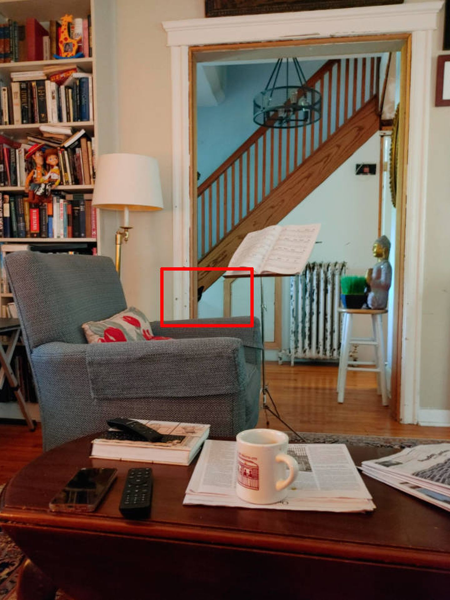 En el recuadro rojo aparece el gato invisible, escondido tras la pared (Foto: Reddit)
