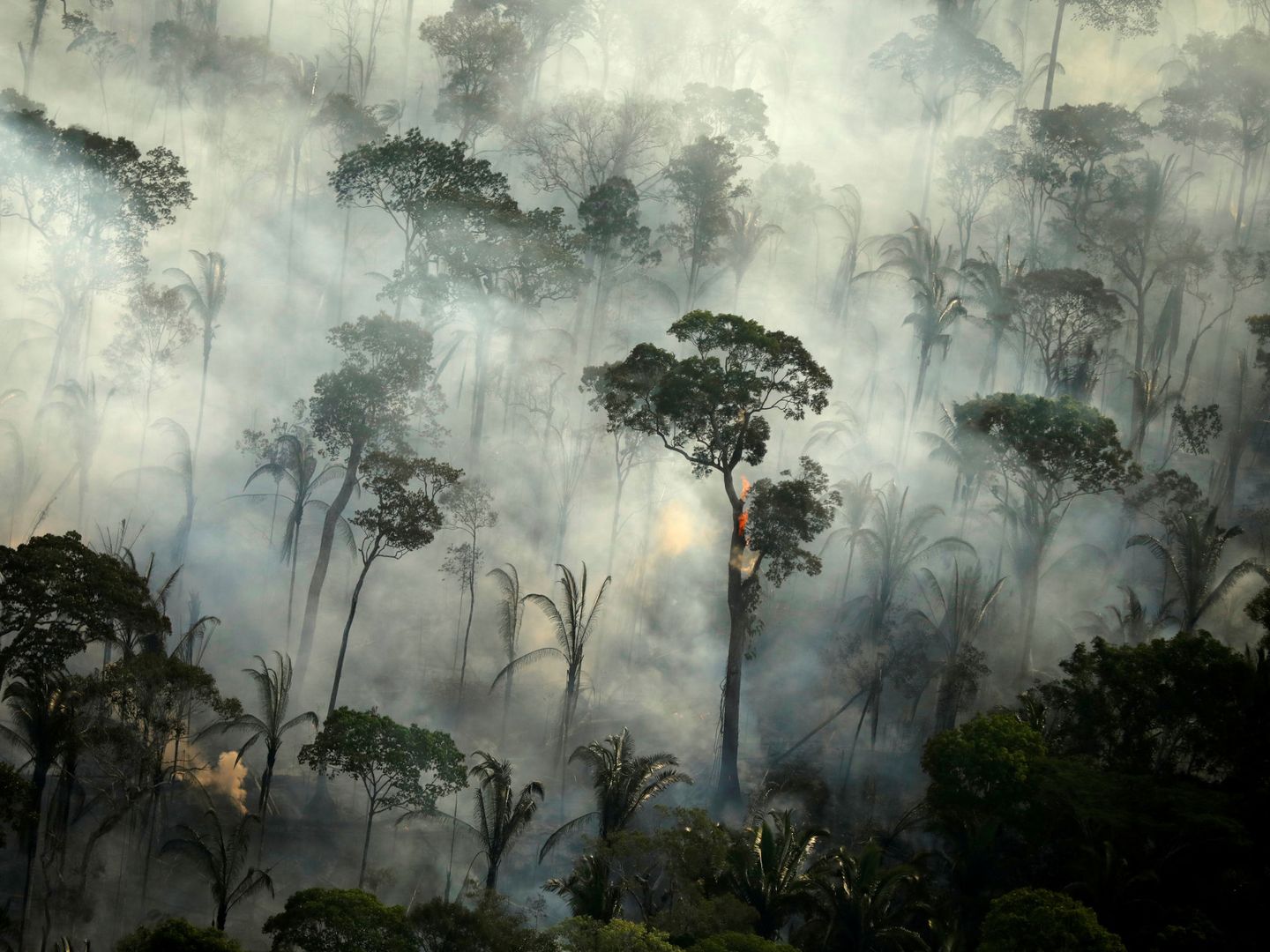 Fuego en el Amazonas. (Reuters)