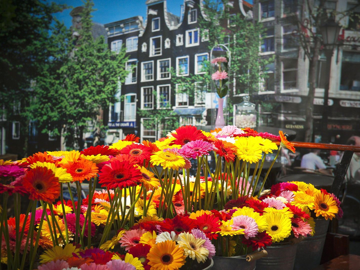 Flores en la feria comercial de FloraHolland Trade Fair en Aalsmeer, Países Bajos. (EFE)