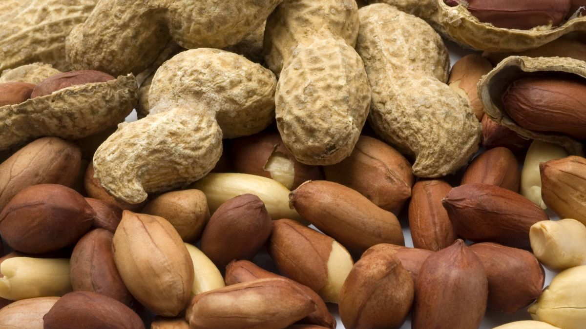 Un fármaco nuevo reduce la peligrosa alergia al cacahuete