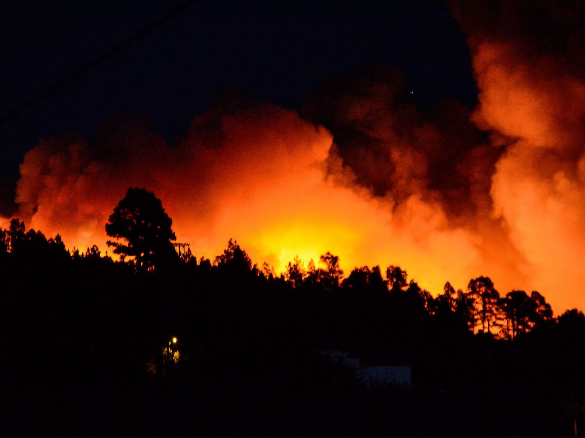 Foto: El reciente incendio en la isla de La Palma, Canarias. (EFE/Miguel Calero)