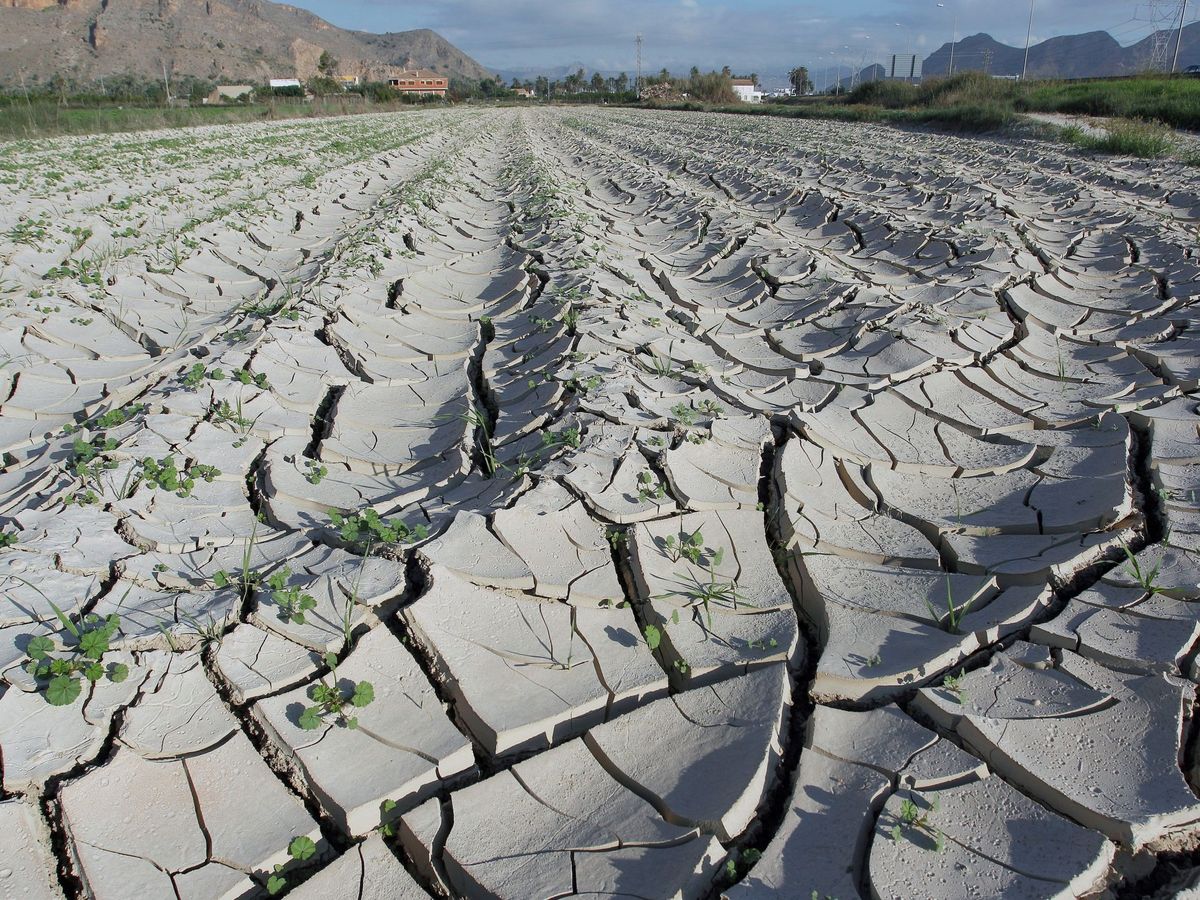 Foto: El déficit hídrico va a aumentar a pesar de las lluvias. EFE A. Morell