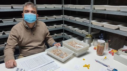 Estas son las 1.080 semillas que España ha enviado al 'arca de Noé' en caso de apocalipsis