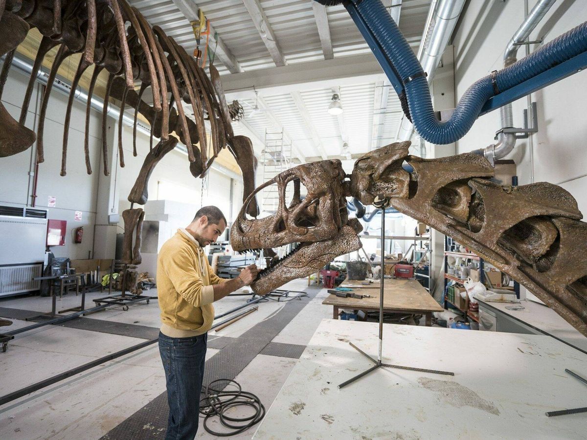 Foto: Dinópolis alberga espacios de investigación y estudio durante la reconstrucción ósea de los dinosaurios. (EFE)