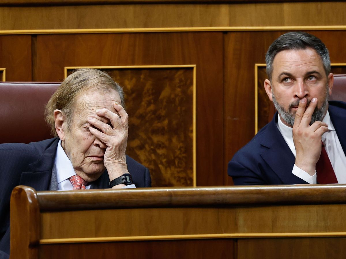 Foto: Ramón Tamames y Santiago Abascal, durante la moción. (EFE/Chema Moya)