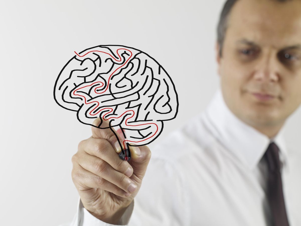 Foto: Los estudios en el cerebro siguen avanzando (iStock)