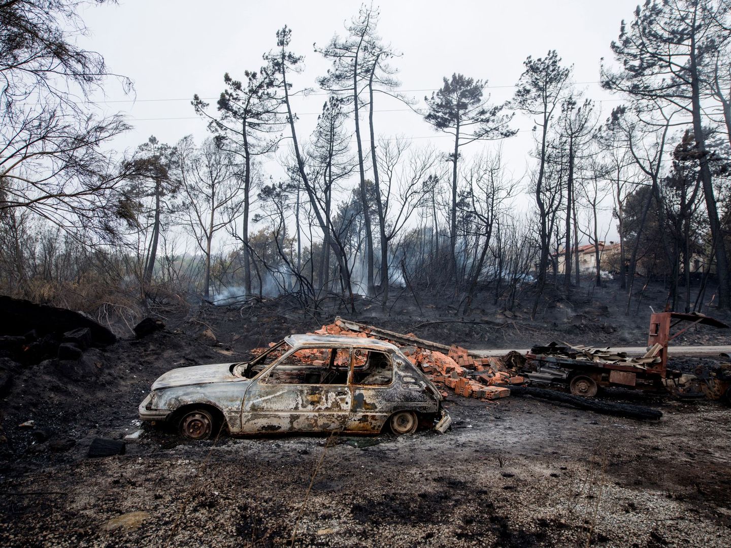 La oleada de incendios de Galicia acabó con la vida de cuatro personas. (EFE)