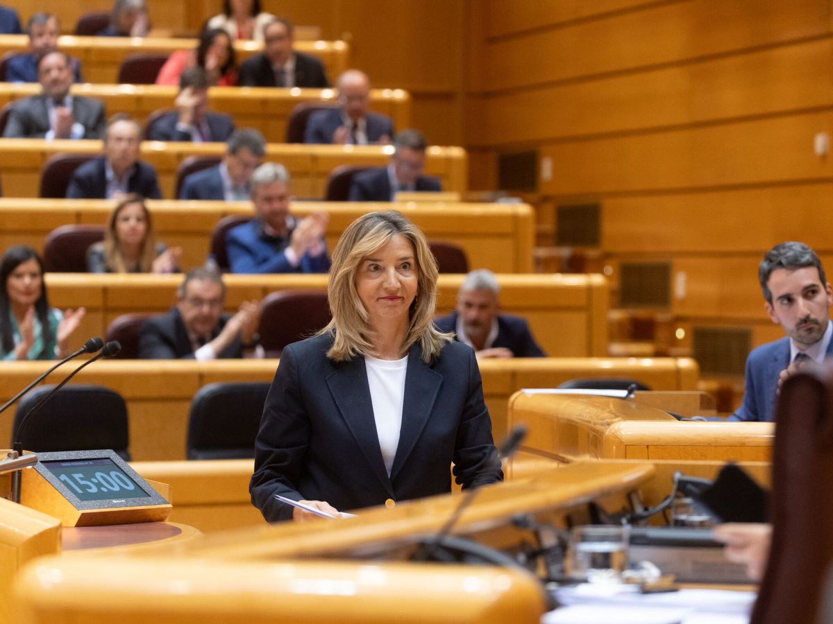 Foto: La portavoz del PP en el Senado, Alicia García (Eduardo Parra / Europa Press)