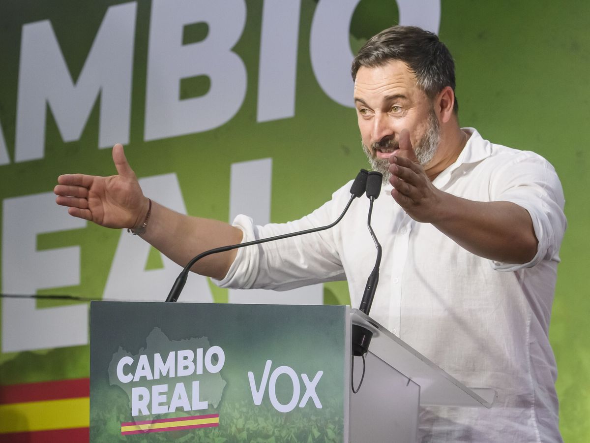 Foto: El líder nacional de Vox, Santiago Abascal. (EFE/Raúl Caro)