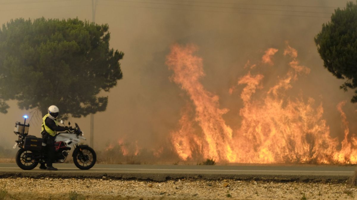 Incendio en Doñana: "El Parque está a salvo, es improbable que llegue el fuego"