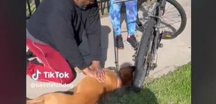 Post de Las sorprendentes imágenes de un hombre que salva la vida de un perro haciéndole una reanimación cardiopulmonar